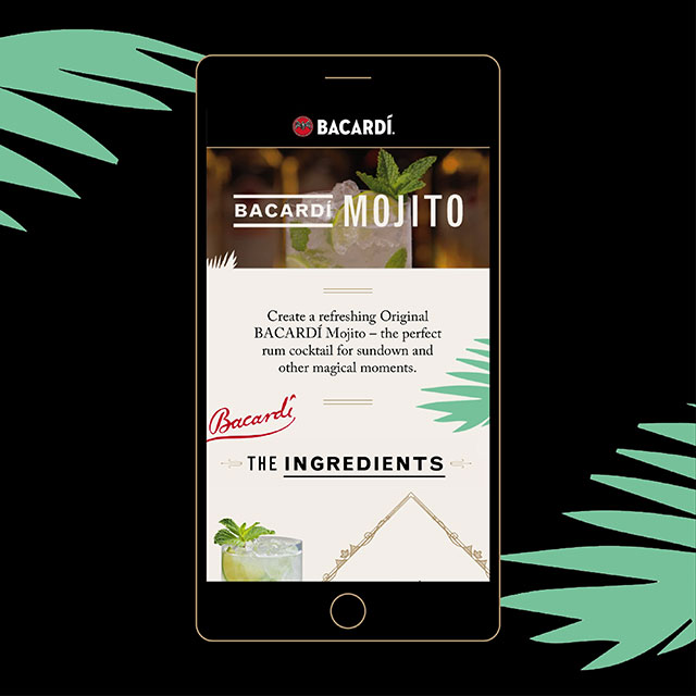 Bacardi / Campaign & Landing Page